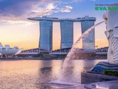 Dịch vụ vận chuyển thú cưng đến Singapore bằng EVA Air